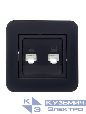 Розетка компьютерная 2-м СП ASTI IP20 RJ45 в сборе черн. бархат LEZARD 7081-4242-141