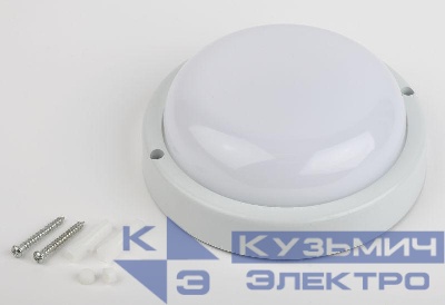 Светильник светодиодный SPB-201-2-65К-012 IP65 12Вт 1140лм 6500К с оптико-акуст. датчиком движения ЖКХ ЭРА Б0047637