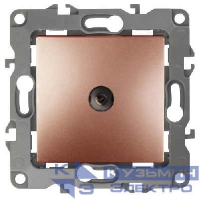 Розетка телевизионная проходная TV Эра12 12-3102-14 IP20 медь Эра Б0027439