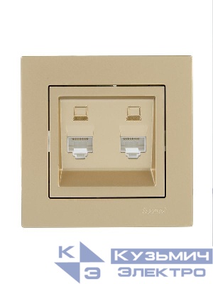 Розетка компьютерная двойн. VESNA зол. LEZARD 742-3688-141