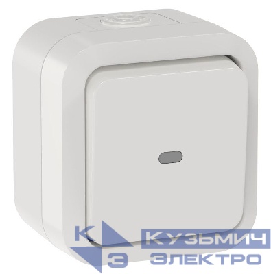 Переключатель 1-кл. ОП TORS TS302 10А IP55 с индикацией бел. IEK TS-V10-1-10-55-K01