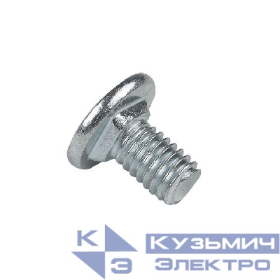 Винт с квадратным подголовником М6х10 EKF wkm6x10