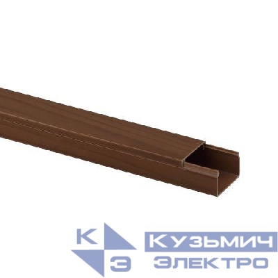 Кабель-канал 25х16 L2000 дуб Эра Б0031157