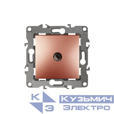 Розетка телевизионная одиночная TV 1мод. Эра12 12-3101-14 IP20 медь Эра Б0019341