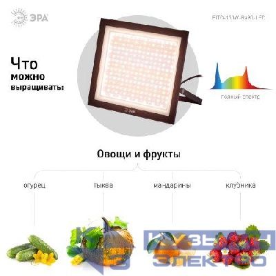 Прожектор светодиодный FITO-150W-Ra90-LED 150Вт для растений полного спектра профессиональный Эра Б0059880