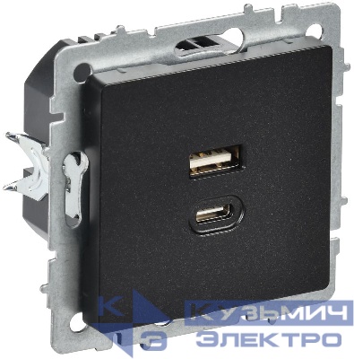 Розетка СП BRITE РЮ11-2-БрЧ USB A+C 45Вт высокоскор. заряд. черн. IEK BR-U22-045-K02