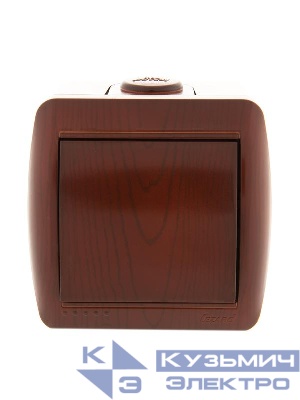Выключатель 1-кл. ОП Nata 10А IP20 вишня LEZARD 710-0600-100