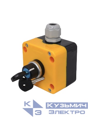 Пост управления ПКУ-22-1441-65У1 1 переключатель на два положения с фиксацией с ключом НО IP65 Электротехник ET014866