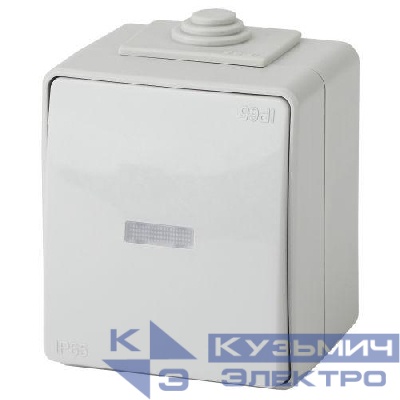 Переключатель 1-кл. ОП Эра Эксперт 10А IP65 11-1610-03 250В 10AX с подсветкой сер. Эра Б0035981