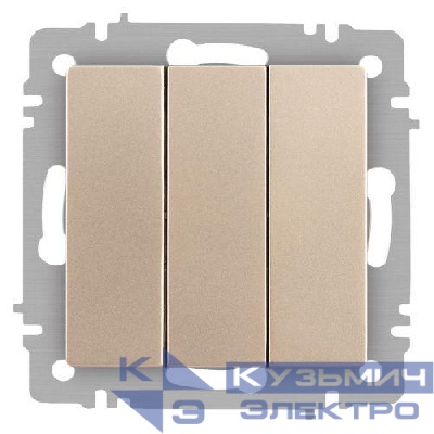 Выключатель 3-кл. СП Accent 6-106-04 10А IP20 250В AL/CU шампань Intro Б0063538