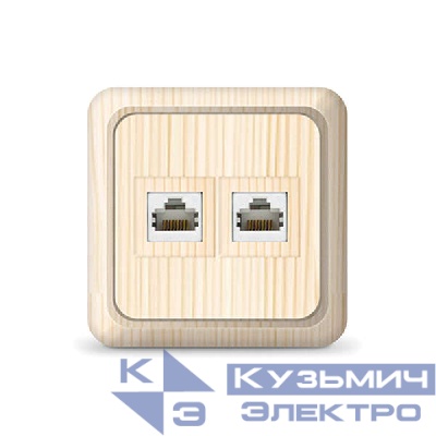 Розетка компьютерная 2-м Олимп сосна UNIVersal 1077