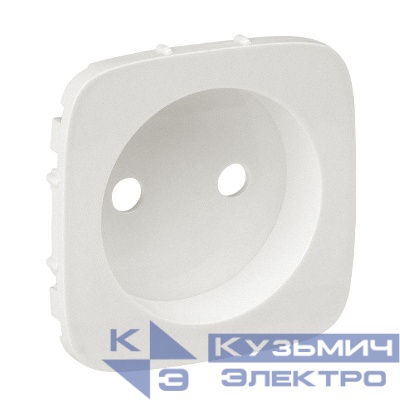 Панель лицевая Valena Allure для розетки силовой 2К жемчуж. Leg 754979