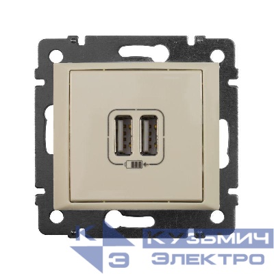 Розетка USB 2-м СП Valena сл. кость Leg 774170