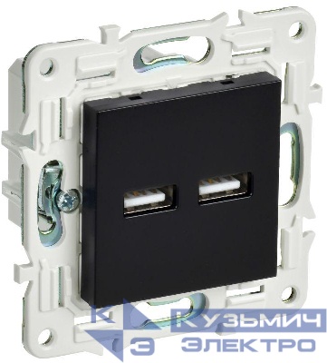 Розетка USB A+A 3.1А SKANDY SK-R15Bl черн. IEK SK-U21-D31-K02 0