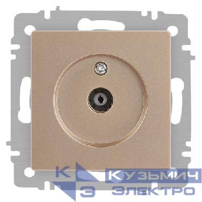 Розетка телевизионная одиночная TV СП Accent 6-301-04 IP20 шампань Intro Б0063609