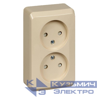Розетка 2-м ОП Этюд 16А IP20 250В защ. шторки без заземл. крем. SE PA16-006K