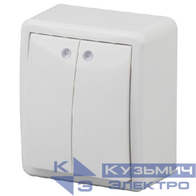 Выключатель 2-кл. ОП Эра Эксперт 10А IP20 11-1205-01 250В 10AX с подсветкой бел. Эра Б0020666