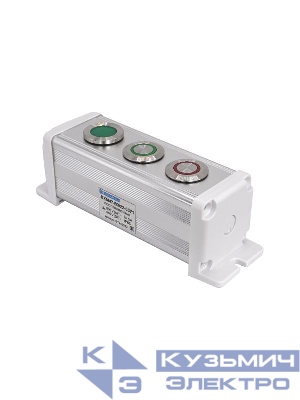 Пост управления BXM47-B3/22-65У1 1 лампа 220В зел. + 1 цилиндрическая кнопка 1C1NO1NC зел. + 1 цилиндрическая кнопка 1C1NO1NC красн. Электротехник ET249213