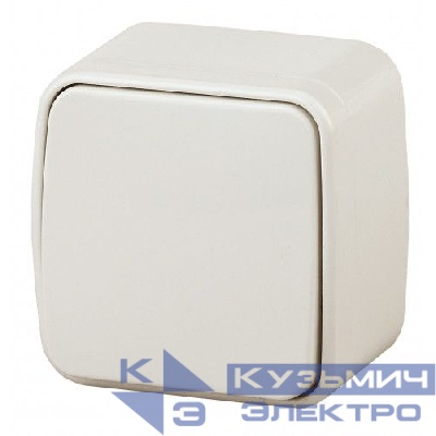 Выключатель 1-кл. ОП Polo 10А IP20 3-101-02 250В сл. кость Intro Б0036115