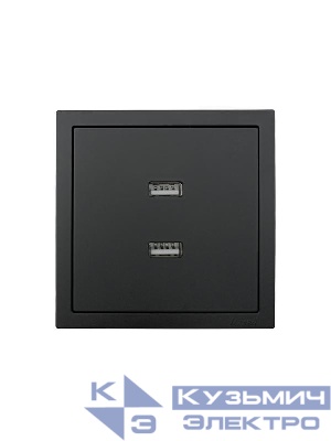Розетка 1-мест. с 2-мест. USB разъем СП ZIMA IP20 черн. бархат LEZARD 704-4288-192