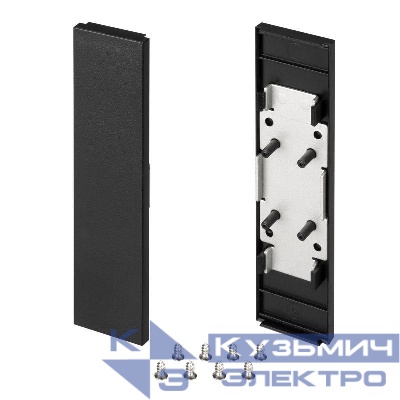 Заглушка SL-LINE-25100-DUAL BLACK глухая пластик Arlight 033038