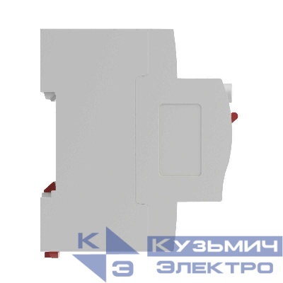 Выключатель дифференциального тока (УЗО) 2п (1P+N) 25А 300мА тип AC MDL100 YON MDL100-2P4-25-AC