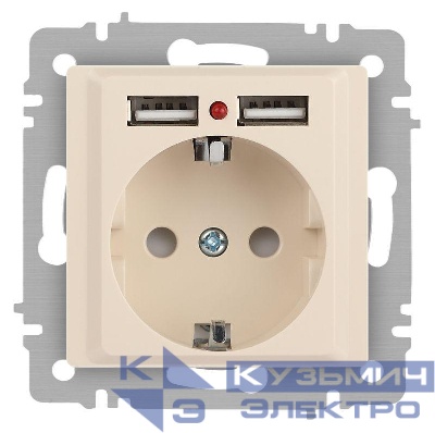 Розетка 1-м СП Accent 6-410-02 16А IP20 250В P+E Schuko + 2хUSB защ. шторки сл. кость Intro Б0063692