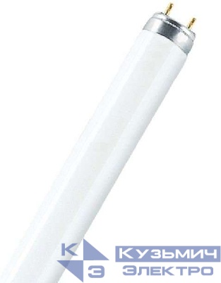 Лампа люминесцентная L 36W/765 36Вт T8 6500К G13 смол. OSRAM 4008321959836