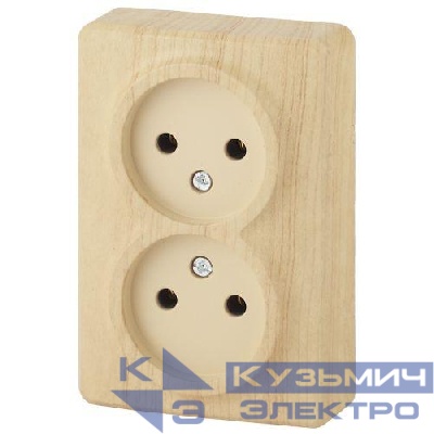 Розетка 2-м ОП Эра Эксперт 11-2202-11 16А IP20 250В 2х2P сосна Эра Б0020684