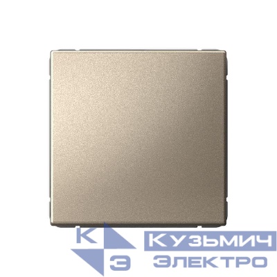 Выключатель 1-кл. ArtGallery 10AX быстрозажим. клем. механизм шампань SE GAL000511S