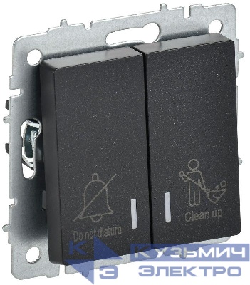 Выключатель 2-кл. BRITE 10А ВС10-2-9-БрЧ для отелей с индик. механизм черн. IEK BR-V20-2-10-K02