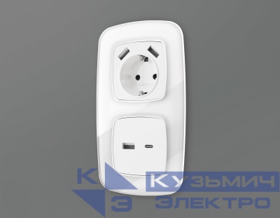 OP1110 Лицевая панель OMEGA (Белый глянец) для розетки 2USB тип A+C QUANT