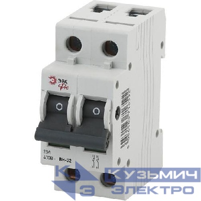 Выключатель нагрузки 2п 25А ВН-32 Pro NO-902-95 ЭРА Б0031919