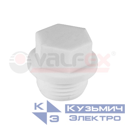 Заглушка резьбовая 20х1/2 (1000/250) VALFEX 10163020