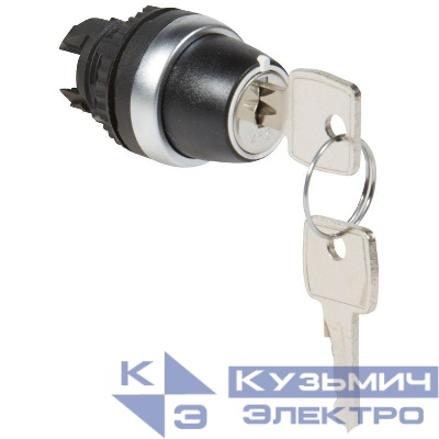 Тумблер с ключом 2п 90град. голуб. Osmoz Leg 023955