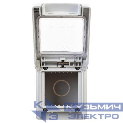 Коробка для настенного монтажа 2 мод. "Avanti" IP55 сер. DKC 4403932