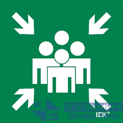 Этикетка самоклеящаяся 150х150мм "Место сбора" IEK LPC10-1-15-15-MSTS