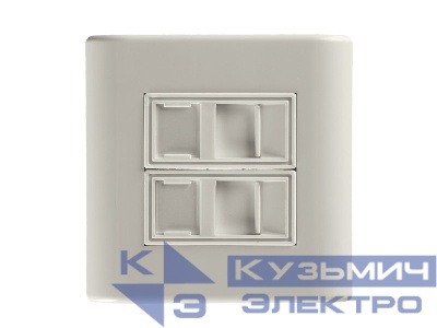 T1.2 - Рамка для внутренней розетки 80х80мм (французский тип)  со вставкой под 2 модуля, металлические скобки