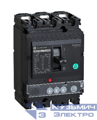 Выключатель автоматический SPC100 100кА S2.2M 3P3D 25А SE SPC100S02522M3DF
