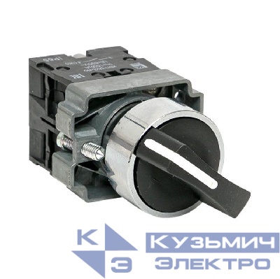 Переключатель BD33 3P короткая ручка 2NO IP65 PROxima EKF xb2-bd33-65