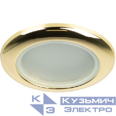 Светильник точечный WR1 GD 50Вт IP44 MR16 12В влагозащ. зол. ЭРА C0043846