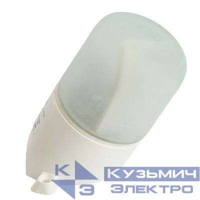 Светильник НББ 01-60-002 60Вт E27 IP65 230В накладной наклонный для бани и сауны FERON 41407