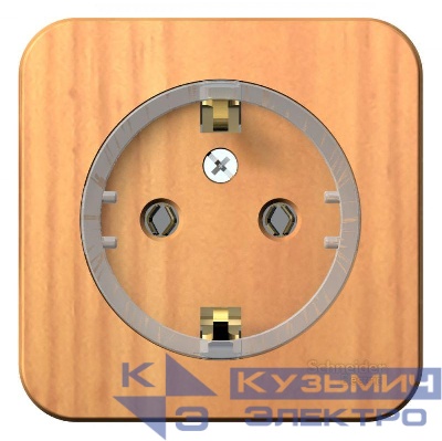 Розетка 1-м ОП Blanca 16А IP20 250В с заземл. без защ. шторок с изолир. пластиной (компакт) ясень SE BLNRA110115