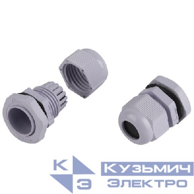 Ввод кабельный (сальник) PG 13.5 d6-12мм (d отверст. 21мм) IP54 (уп.20шт) Эра Б0065191