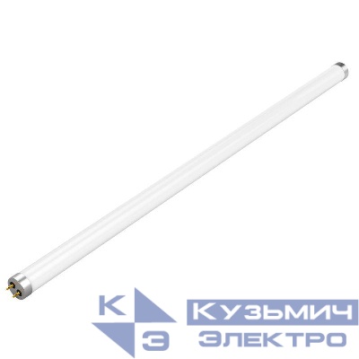 Лампа светодиодная Basic 10Вт T8 6500К G13 800лм 600мм стекло GAUSS 1930302