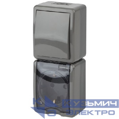 Блок розетка+выкл. ОП Эра Эксперт 11-7407-03 16А(10AX)-250В верт. IP54 сер. ЭРА Б0036005