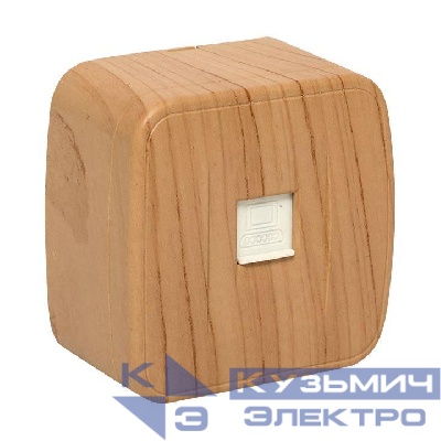 Розетка компьютерная 1-м ОП Минск RJ45 1А 120В свет. дерево EKF EGK01-035-30