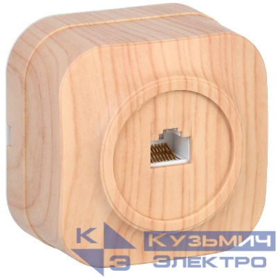 Розетка компьютерная 1-м ОП Glory РК10-ХС сосна IEK EKH10-K34