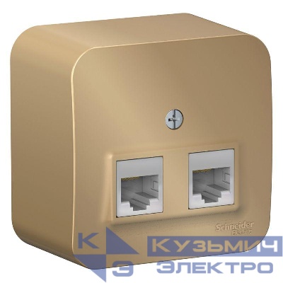 Розетка компьютерная 2-м ОП Blanca RJ45 кат.5E с изолир. пластиной титан SE BLNIA045454