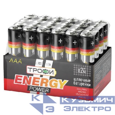 Элемент питания алкалиновый AAA/LR03 LR03-24 bulk ENERGY POWER Alkaline (уп.24шт) Трофи Б0035375